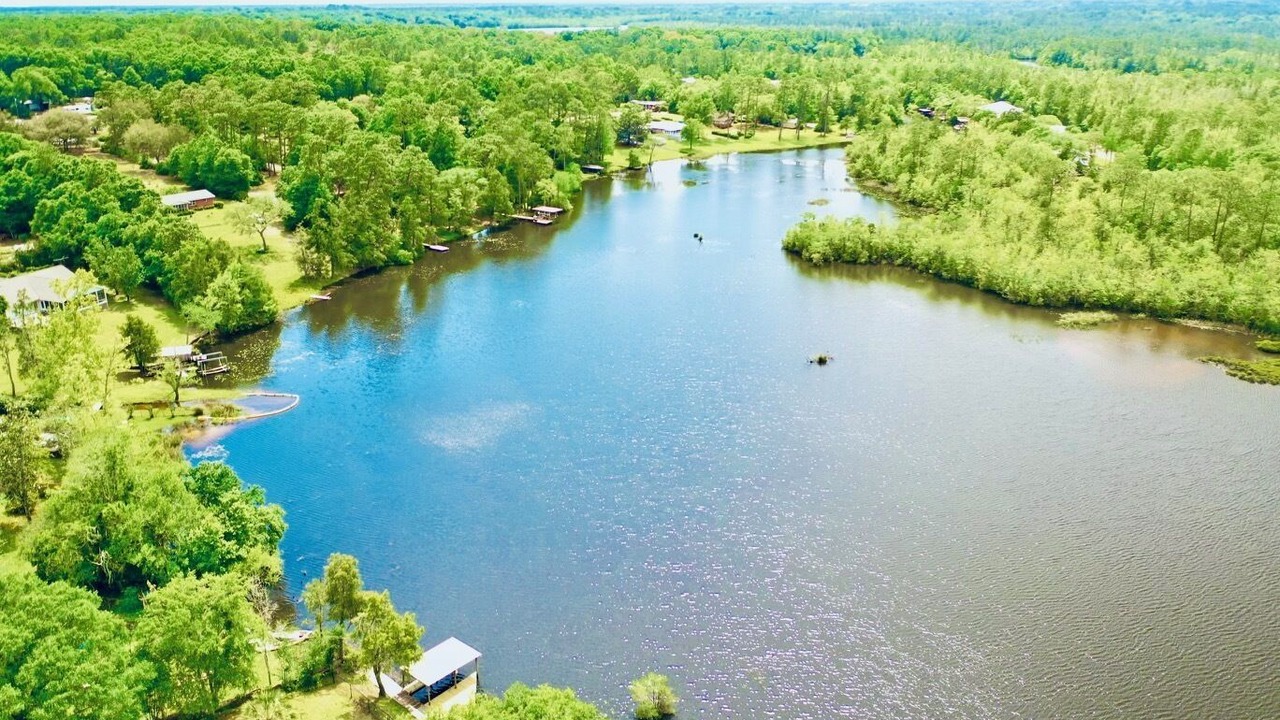 Photo of Others in Milton