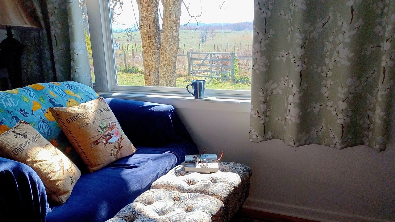 Photo of Livingroom in Quicksburg