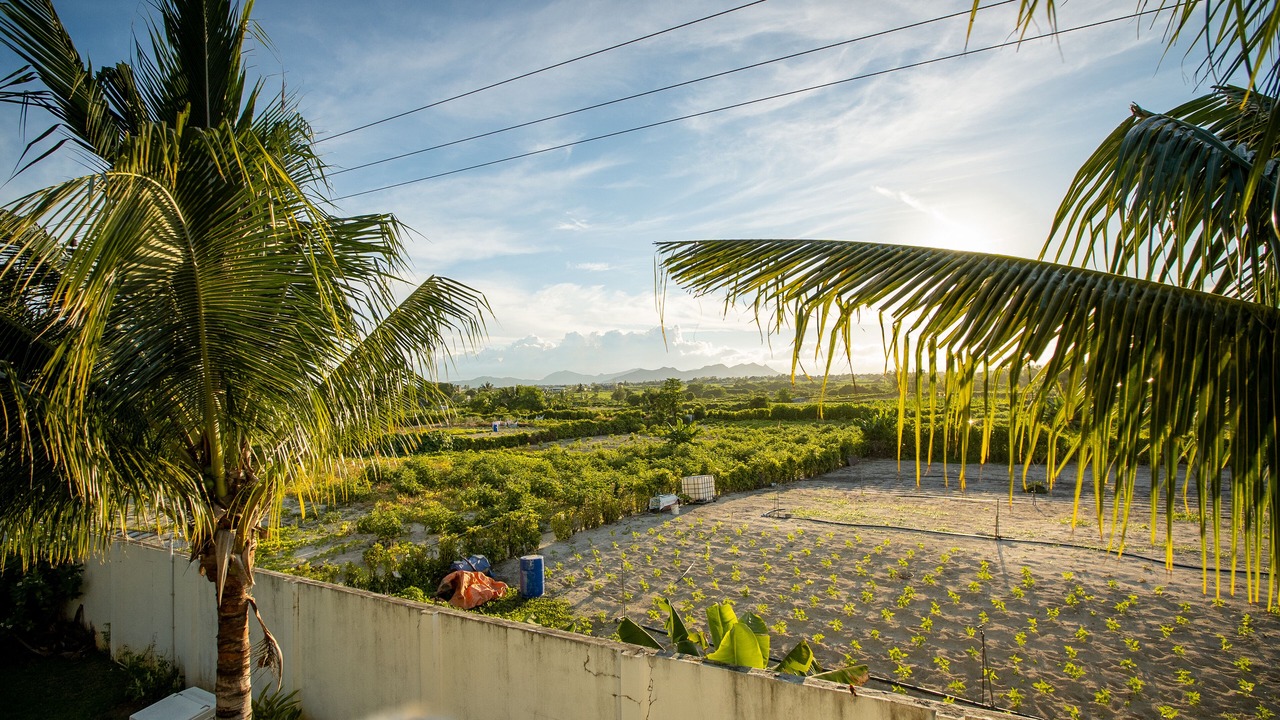 Photo of Outdoor in Belle Mare