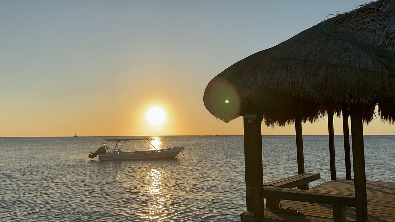 Photo of Others in Roatan