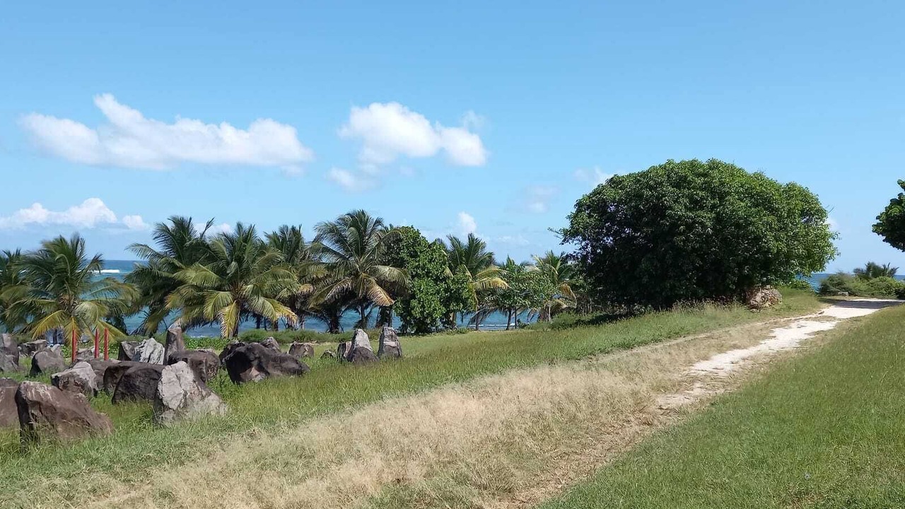 Photo of Outdoor in Morel