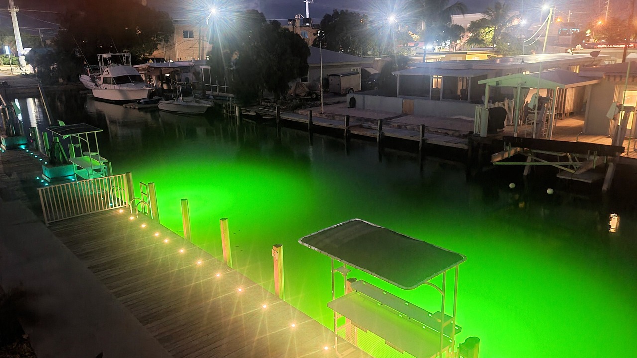 Photo of Outdoor in Little Venice