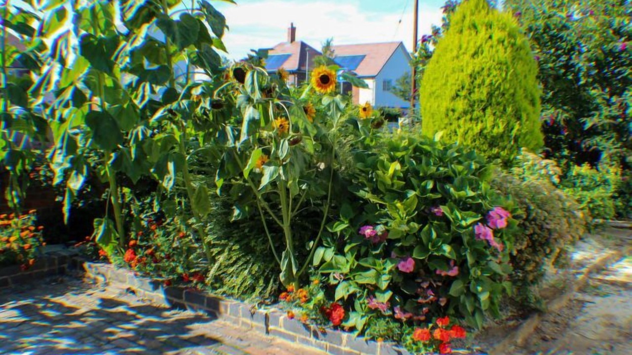 Photo of Outdoor in Tonbridge