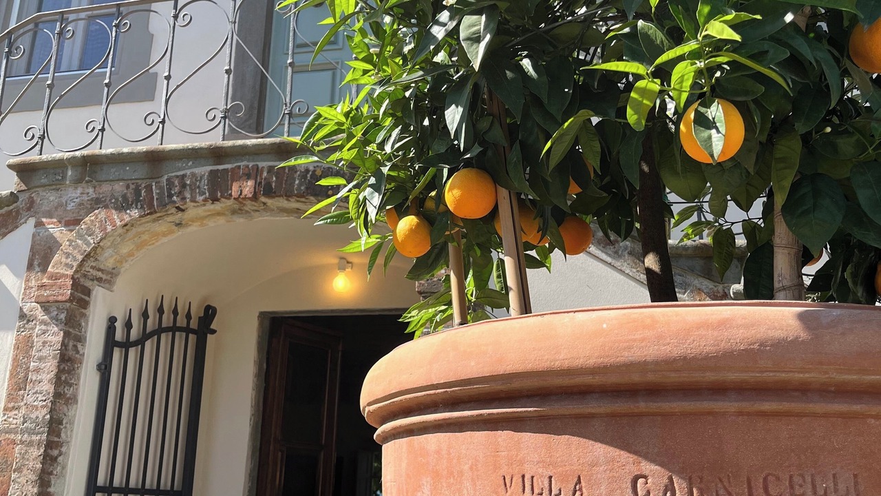 Photo of Outdoor in Capannori