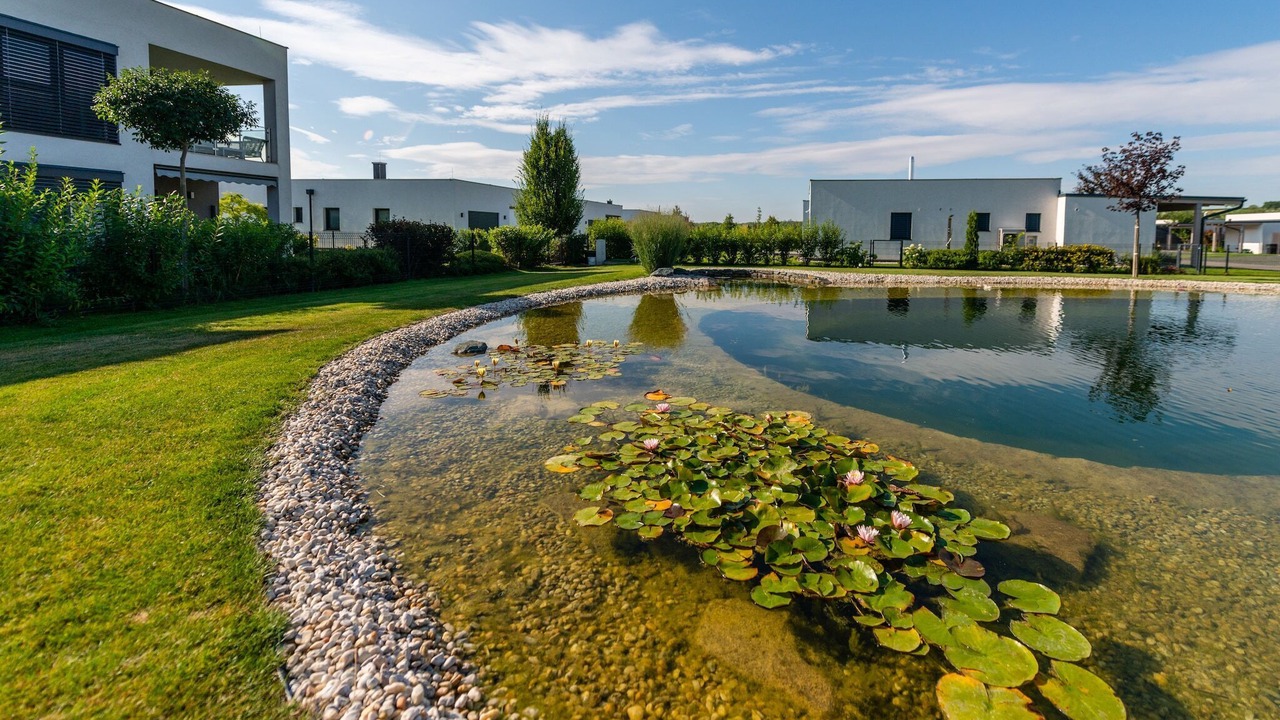Photo of Outdoor in Zsira