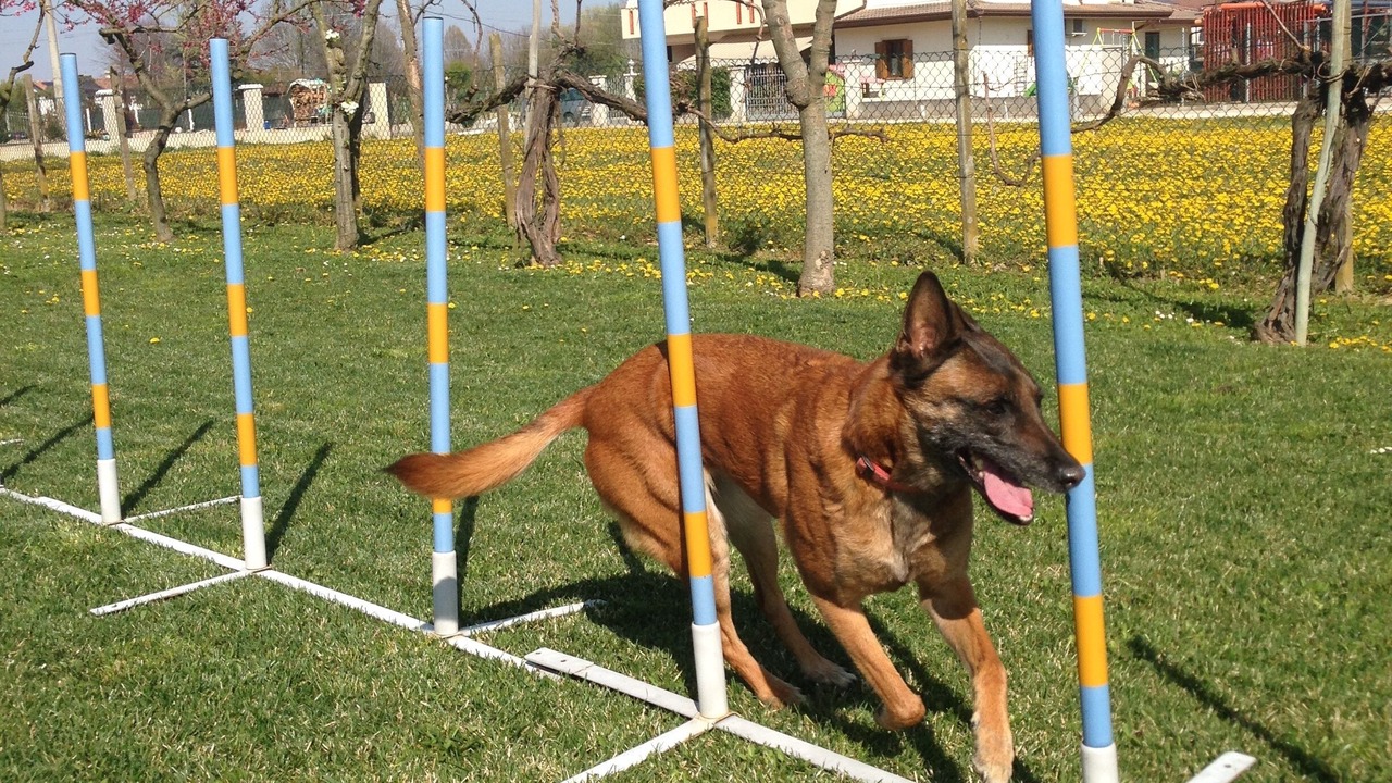 Photo of Outdoor in Santa Maria di Sala
