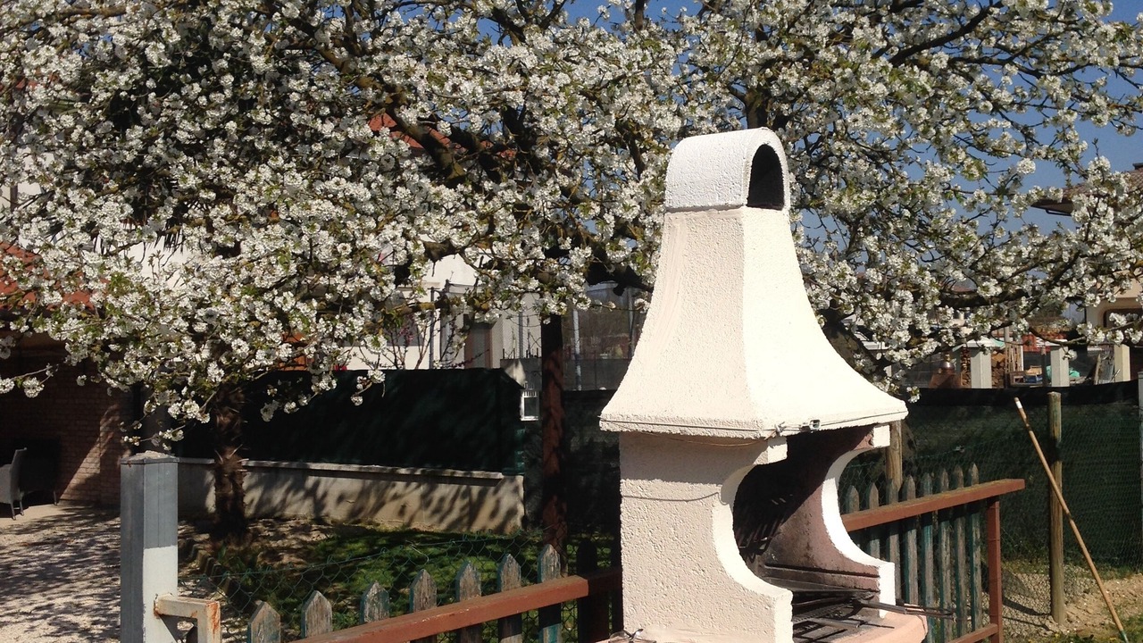 Photo of Outdoor in Santa Maria di Sala