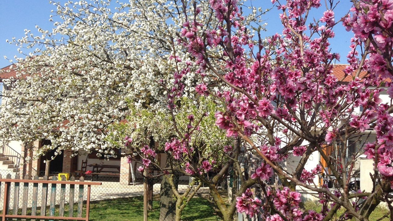 Photo of Outdoor in Santa Maria di Sala