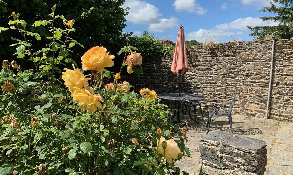 Photo of Outdoor in Caurel