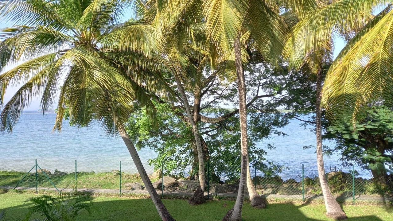 Photo of Outdoor in Pointe-a-Pitre
