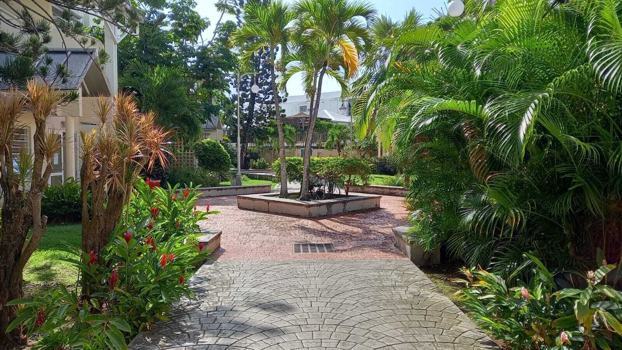 Photo of Outdoor in Pointe-a-Pitre