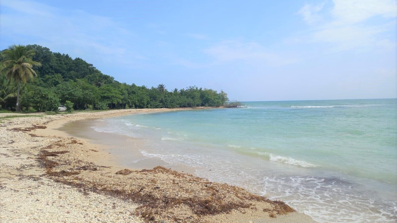 Photo of Others in Pointe-a-Pitre