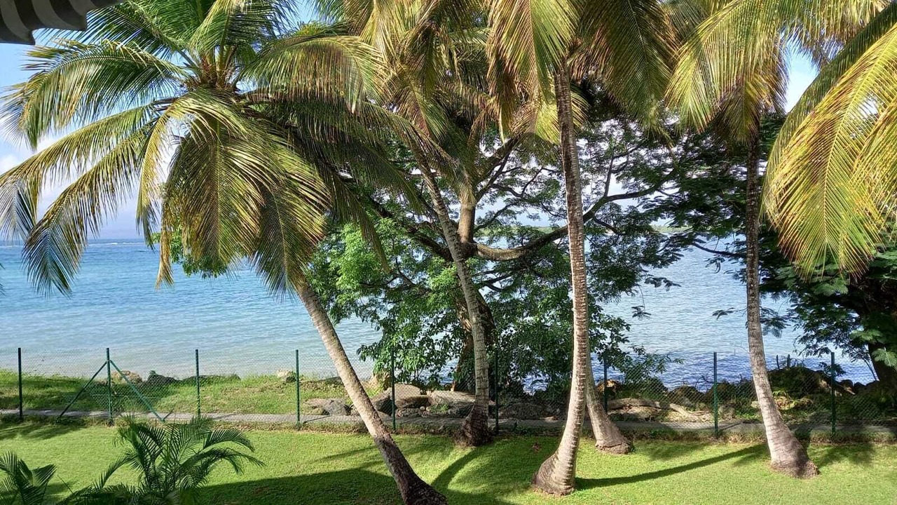 Photo of Outdoor in Pointe-a-Pitre