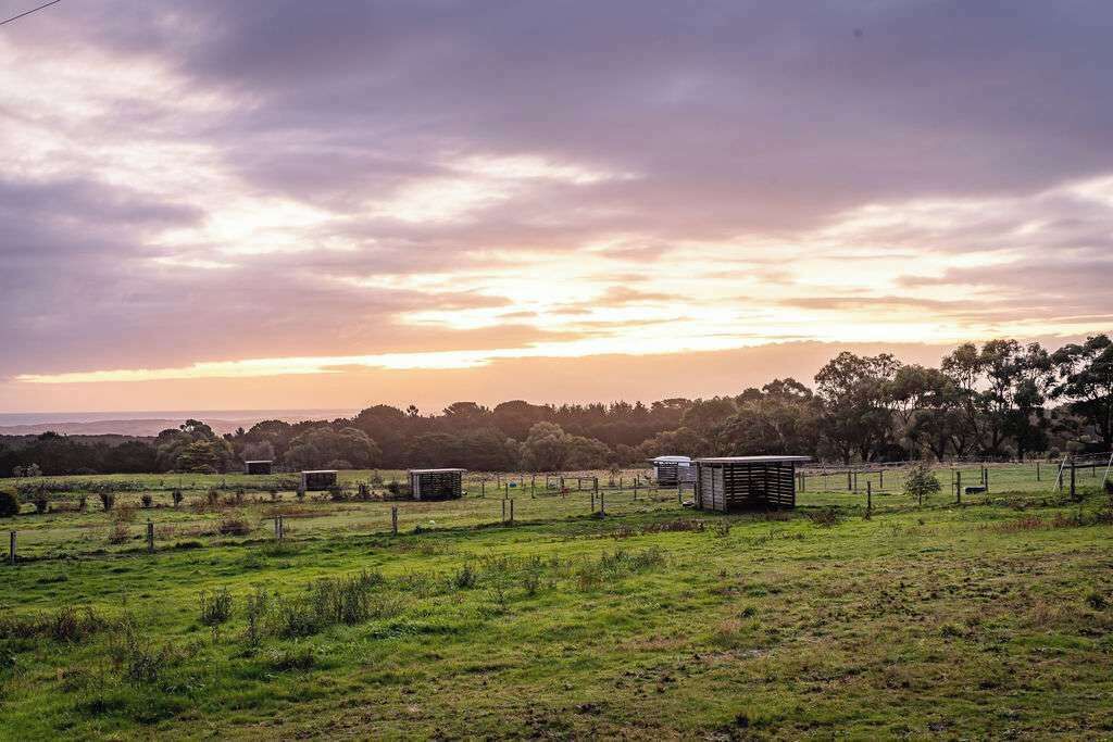 Photo of Others in Cape Schanck