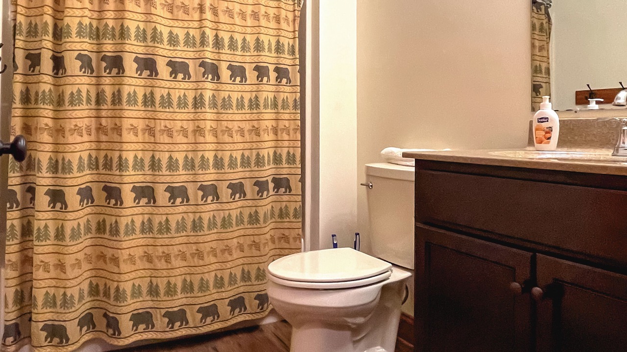 Photo of Bathroom in Lake Harmony Estates