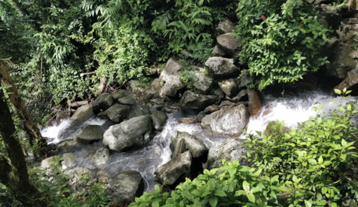 Photo of Outdoor in Mameyes II