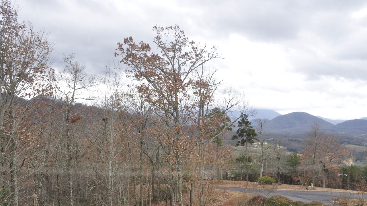 Photo of Others in Hayesville