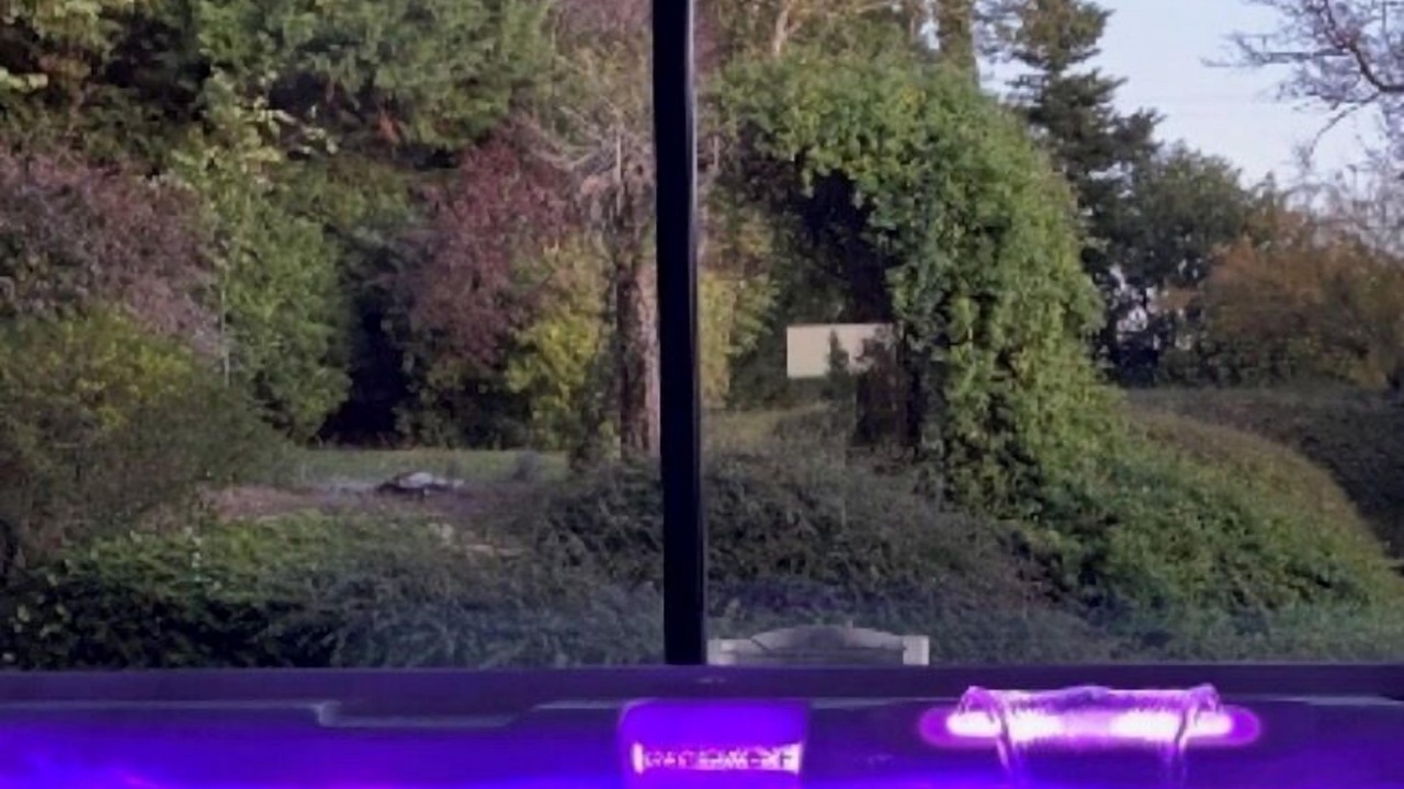 Photo of Outdoor in Thesee