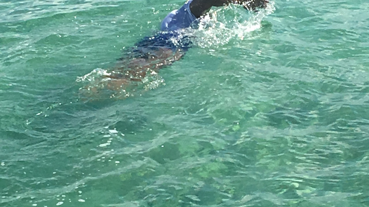 Photo of Others in Andros Town