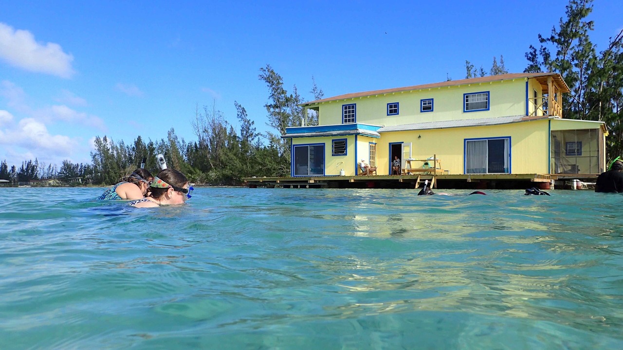 Photo of Outdoor in Andros Town