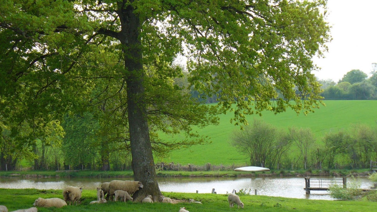 Photo of Outdoor in Vigoulant