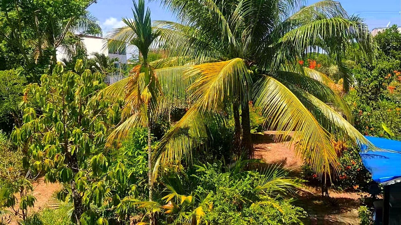 Photo of Outdoor in Guaibim