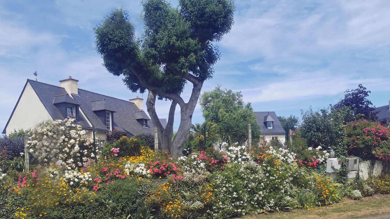 Photo of Outdoor in Binic-Etables-sur-Mer