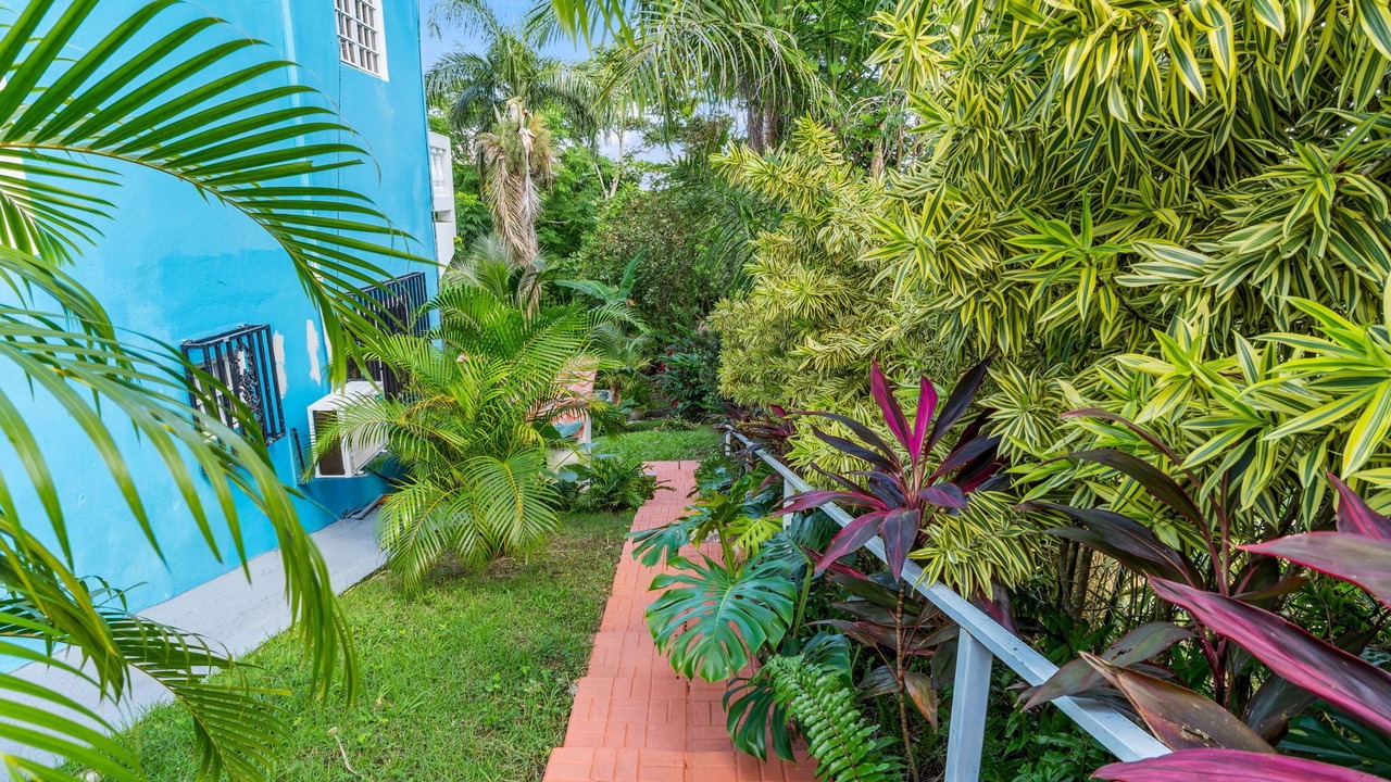 Photo of Outdoor in Playa Fortuna