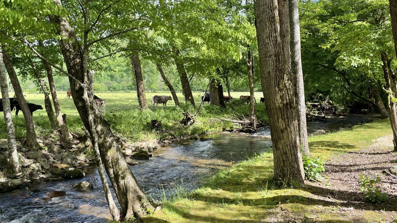 Photo of Outdoor in Hayesville