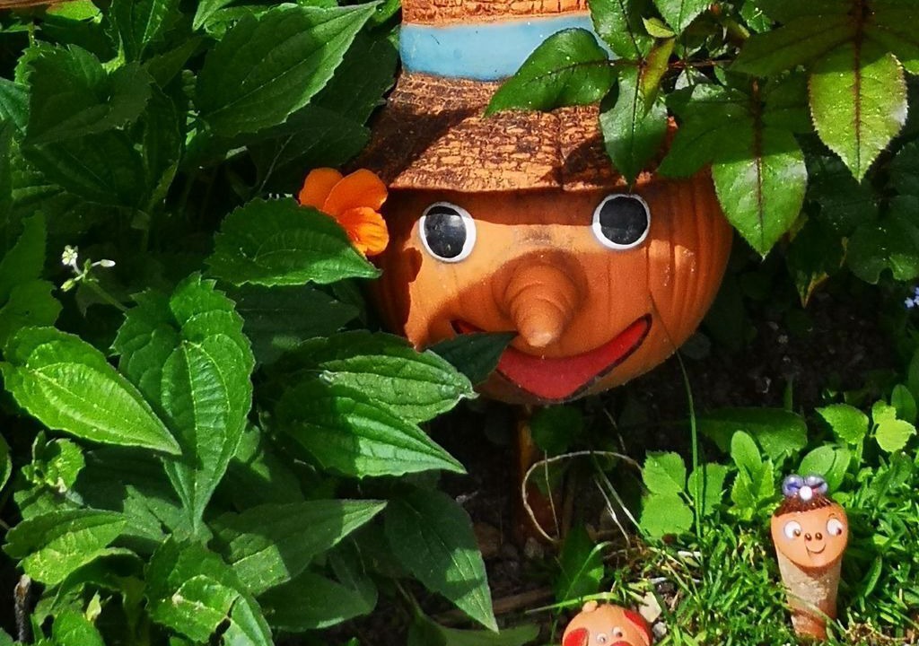 Photo of Outdoor in Weissenbach
