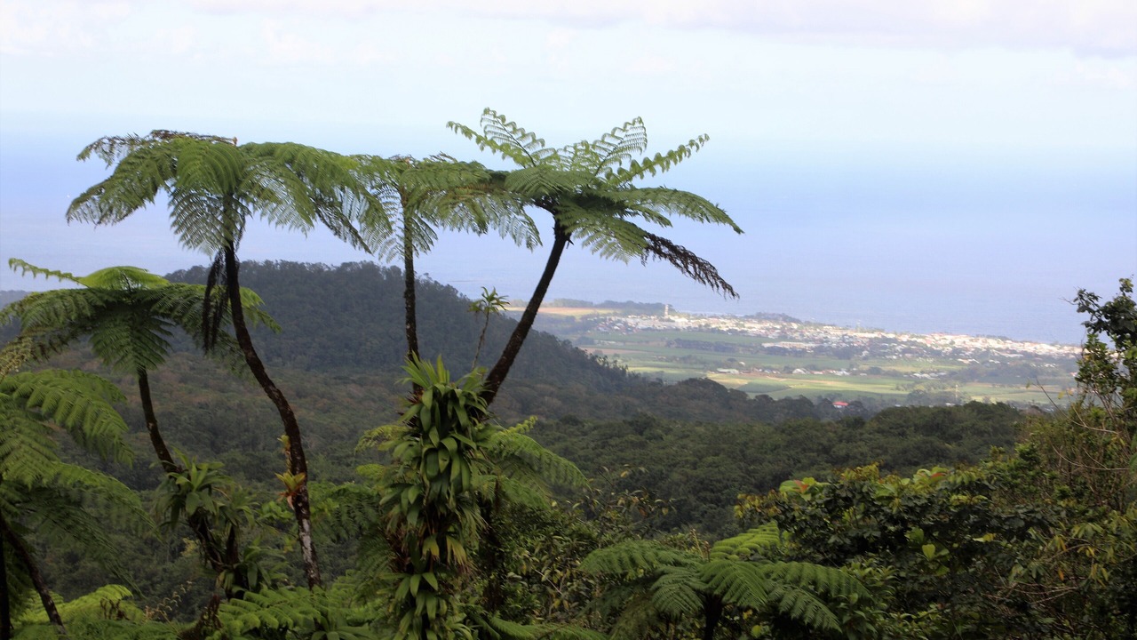 Photo of Outdoor in Deshaies