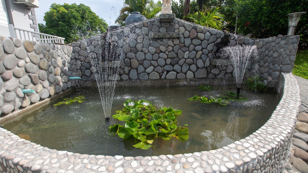 Photo of Outdoor in Lamentin