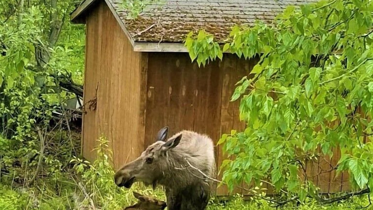 Photo of Others in Old Seward - Oceanview