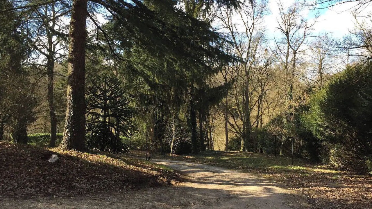Photo of Outdoor in Saint-Martin-le-Beau