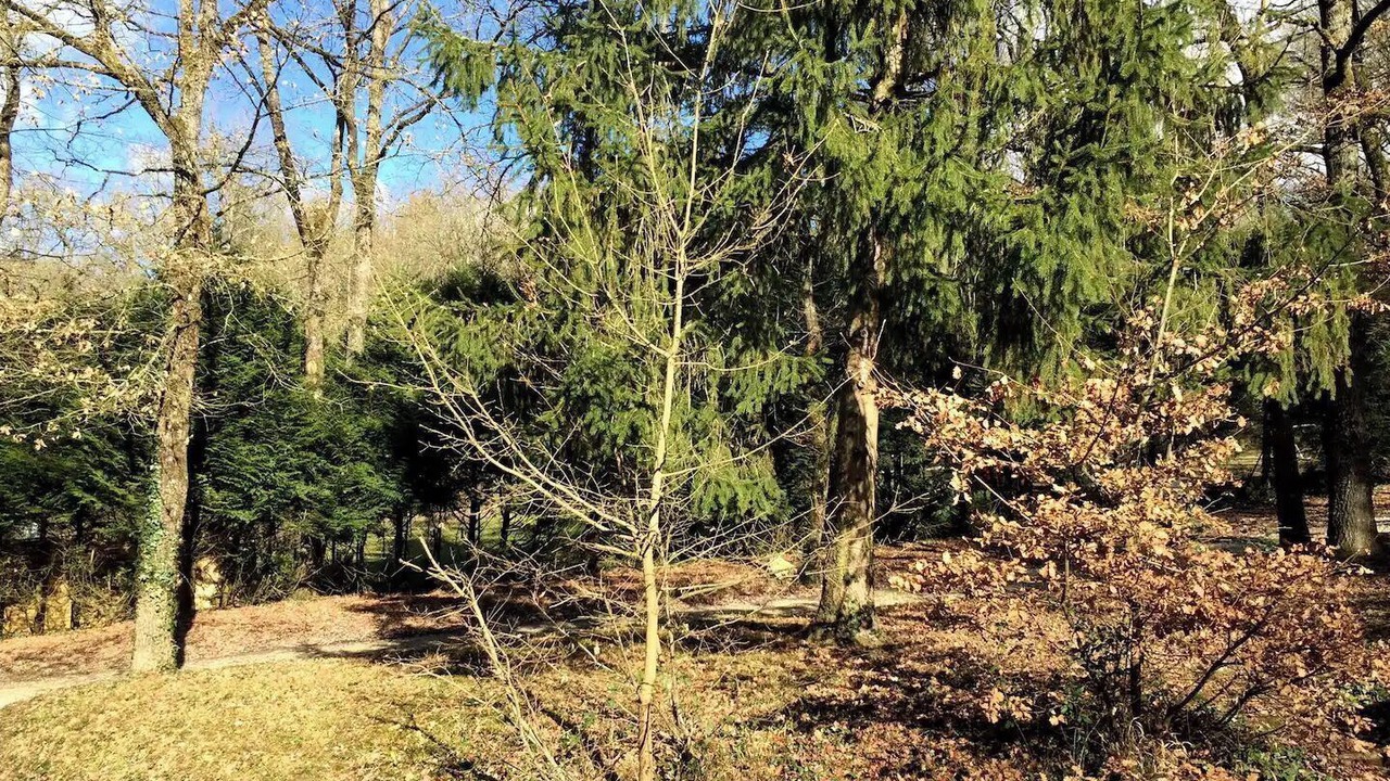Photo of Outdoor in Saint-Martin-le-Beau