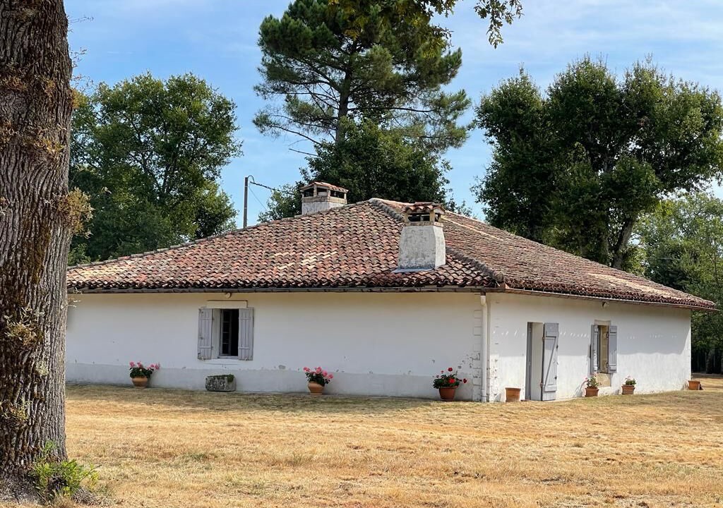 Photo of Outdoor in Sore