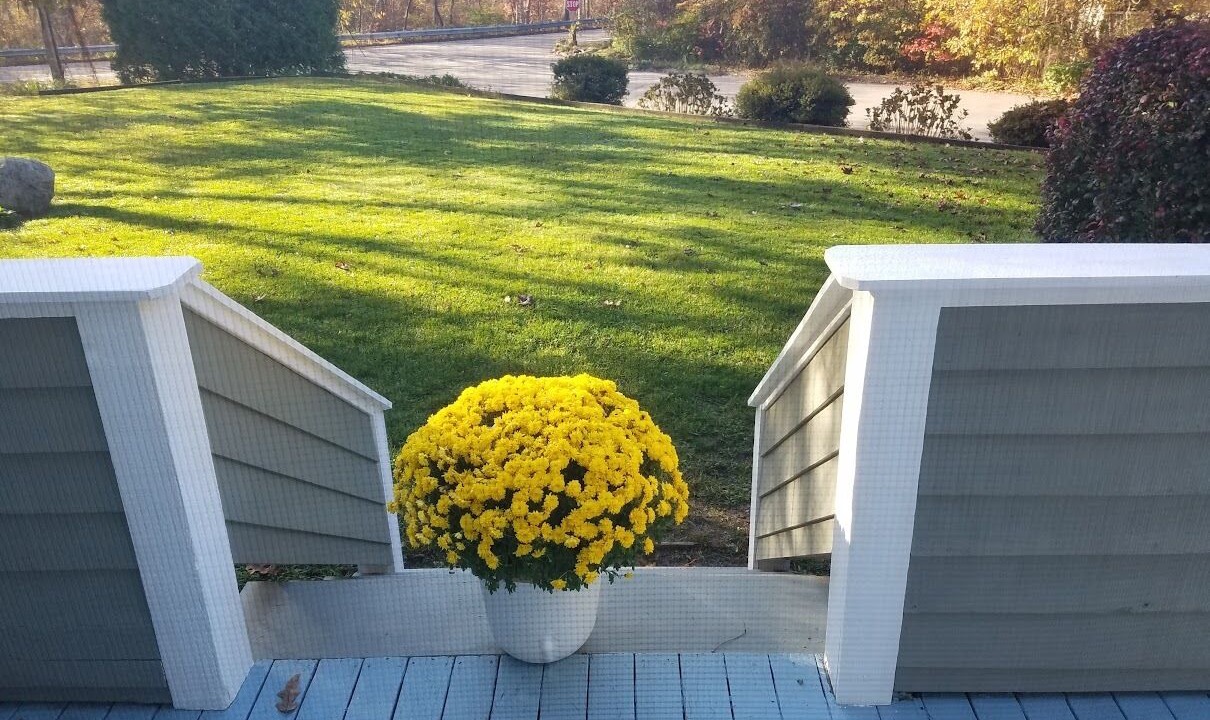 Photo of Outdoor in Haversham