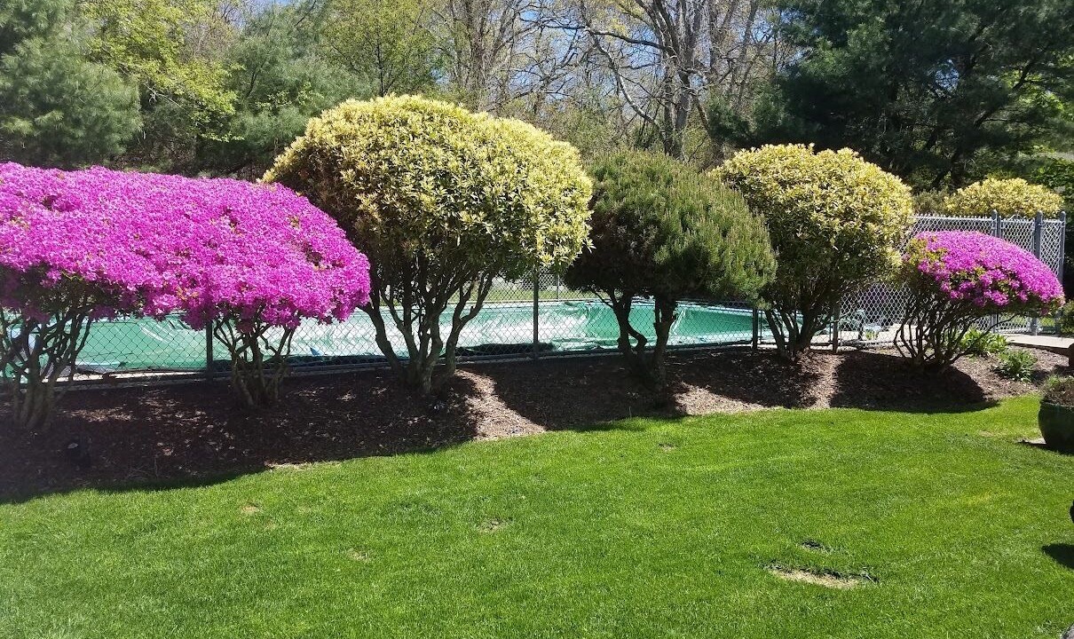 Photo of Outdoor in Haversham