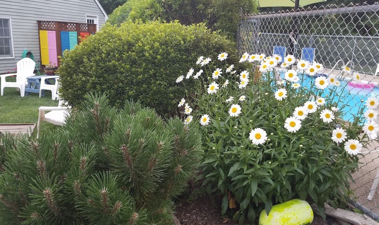 Photo of Outdoor in Haversham
