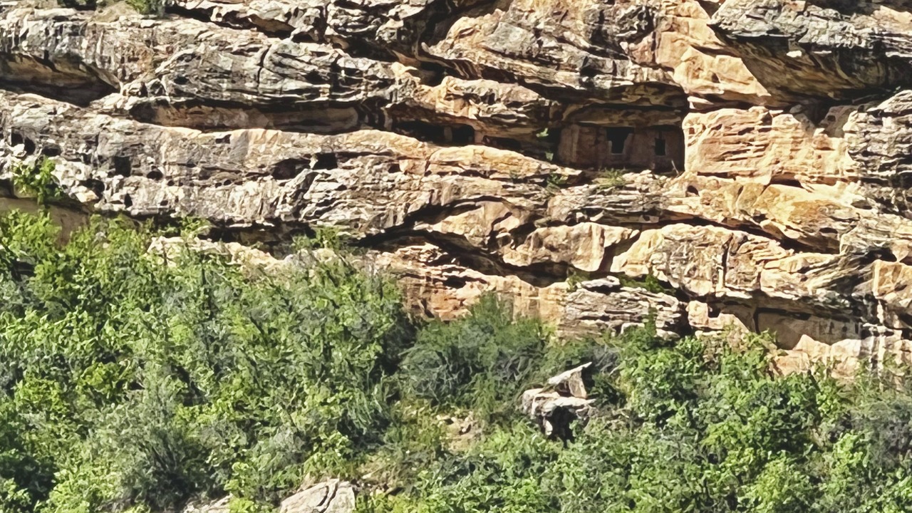 Photo of Others in Monticello