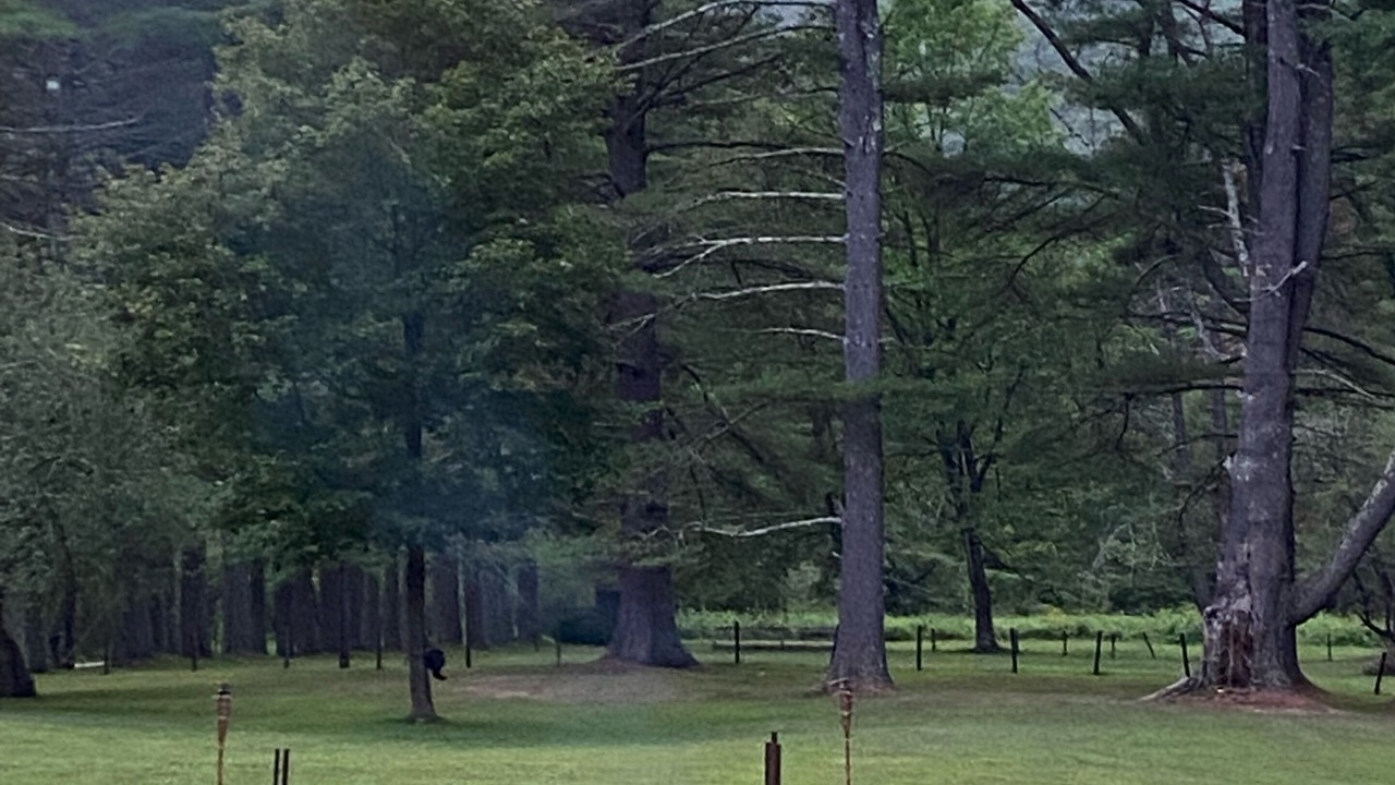 Photo of Outdoor in Antes Fort