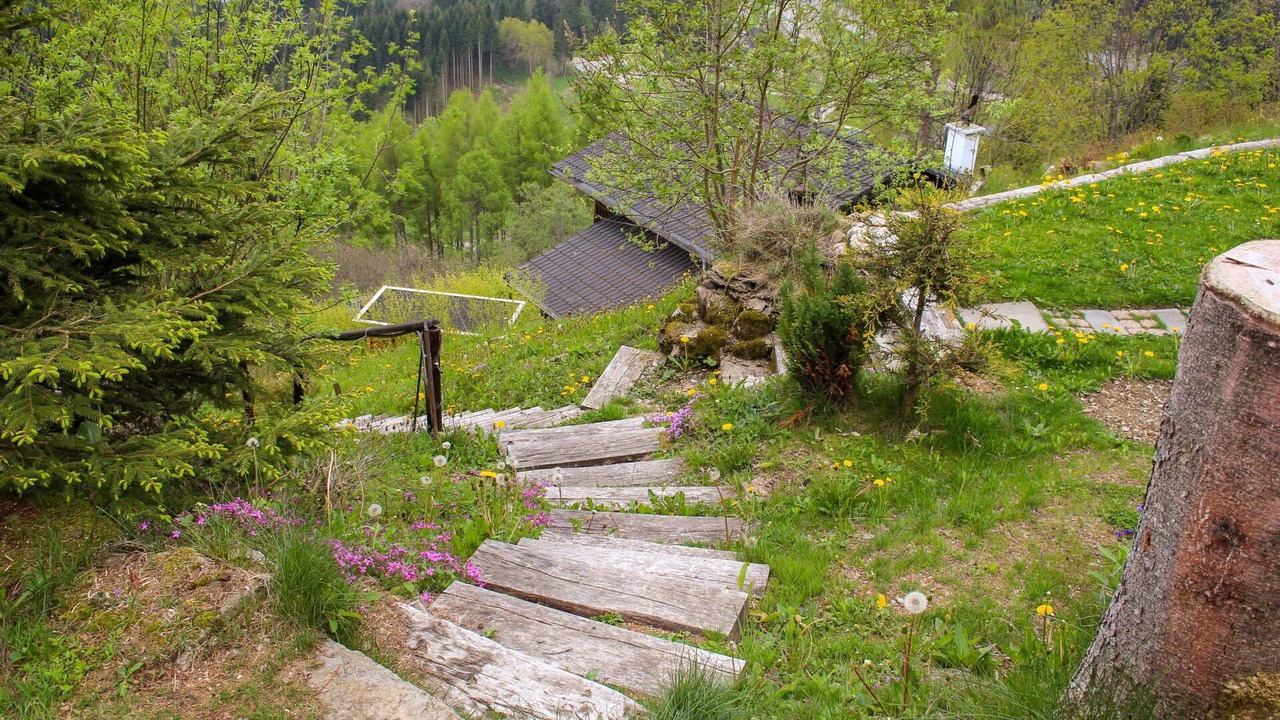 Photo of Others in Moleson