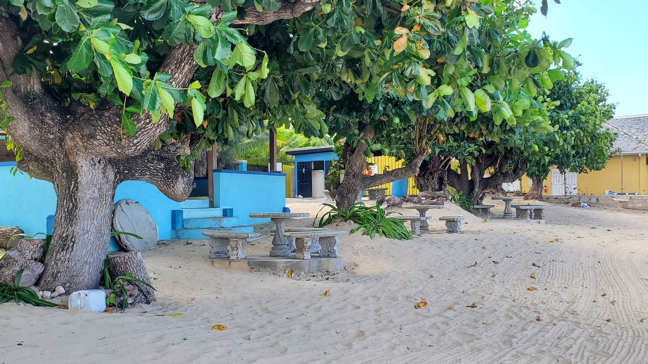 Photo of Outdoor in Runaway Bay
