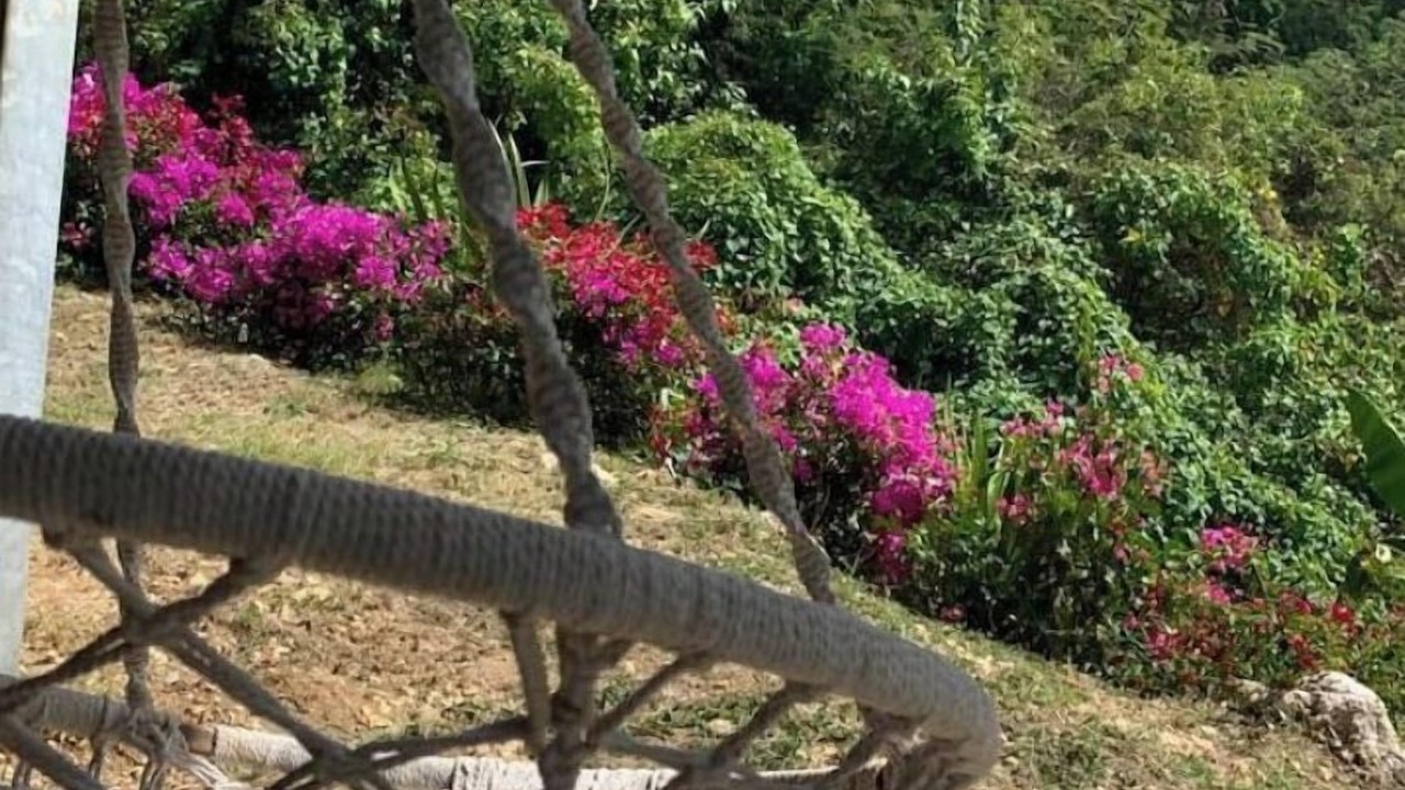 Photo of Outdoor in Saint Felix
