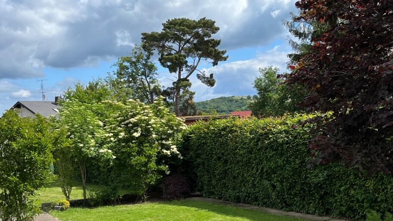 Photo of Outdoor in Wehr