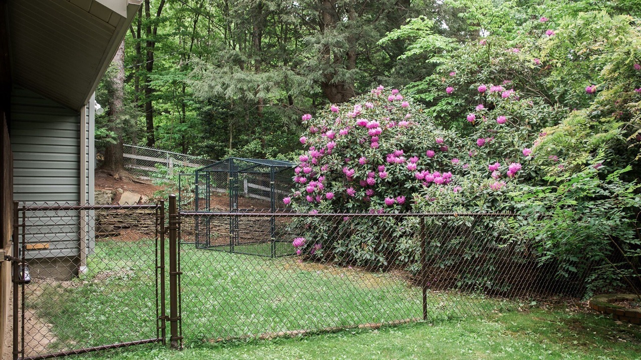 Photo of Outdoor in Hopwood
