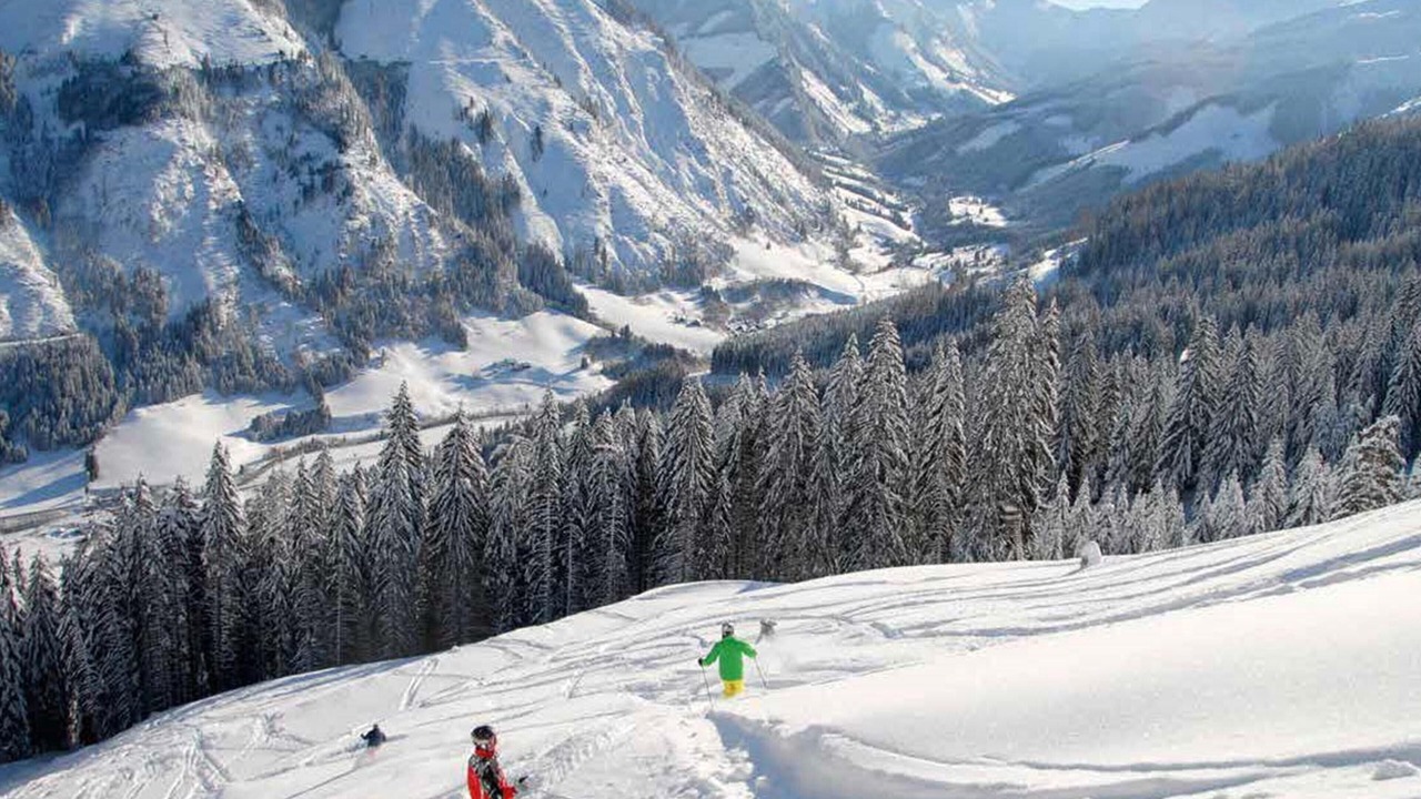 Photo of Others in Donnersbachwald