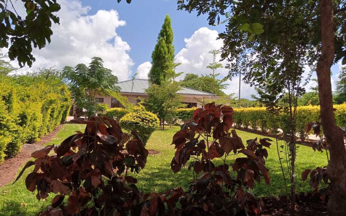 Photo of Outdoor in Lusaka