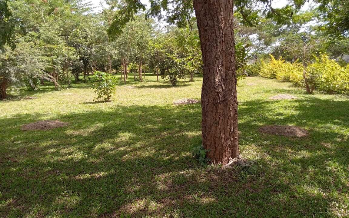 Photo of Outdoor in Lusaka