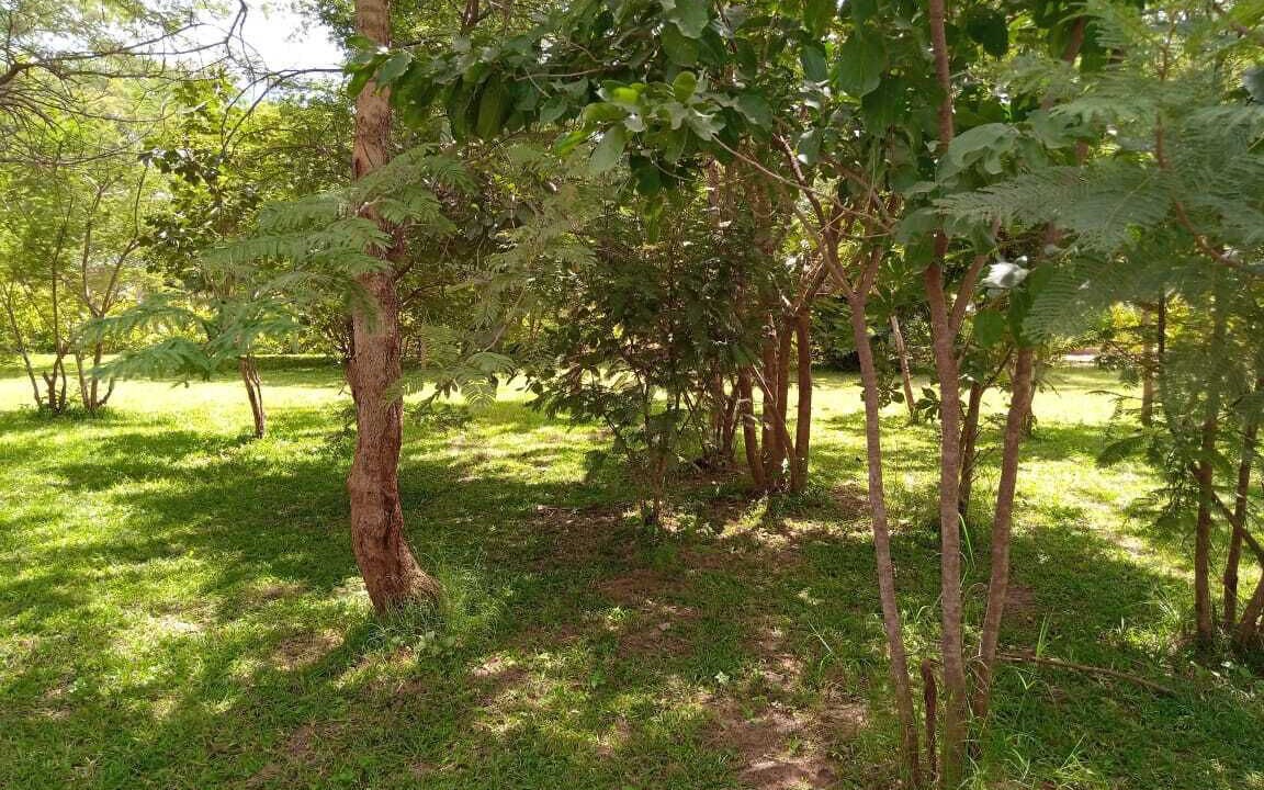 Photo of Outdoor in Lusaka
